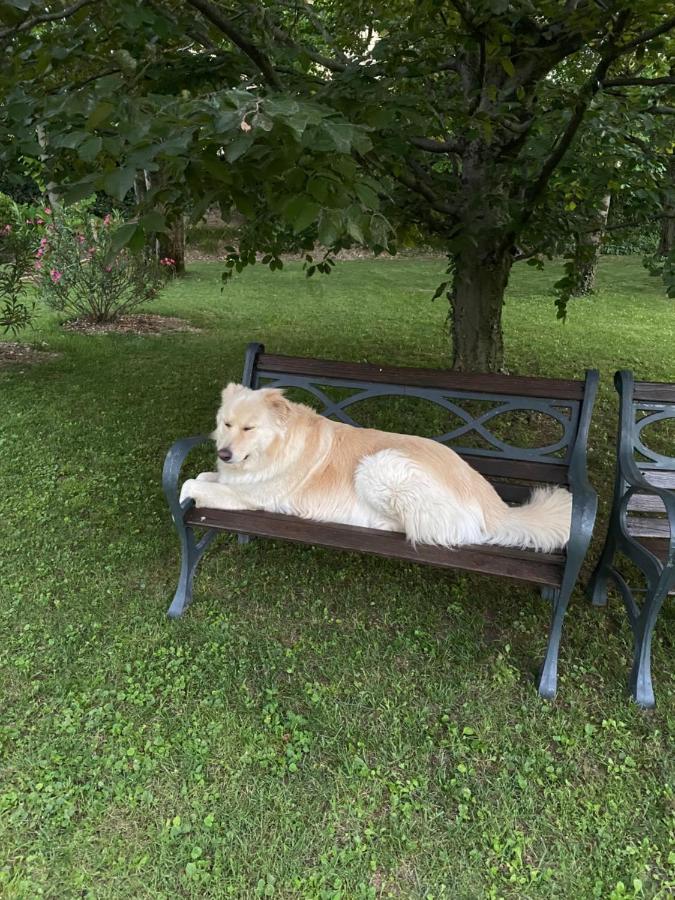 B&B La Terrazza Pozzolengo Zewnętrze zdjęcie