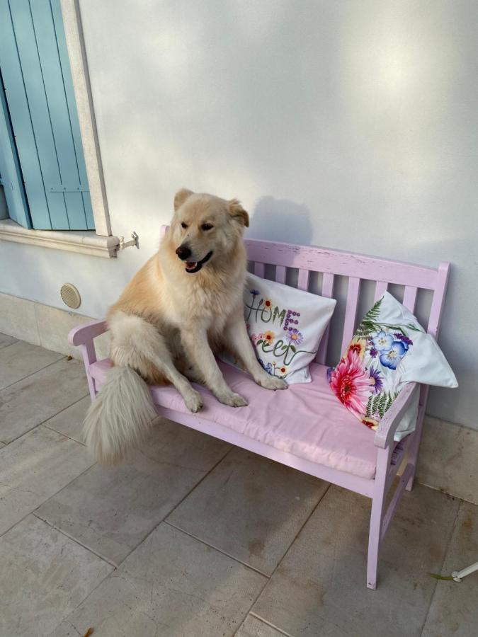 B&B La Terrazza Pozzolengo Zewnętrze zdjęcie