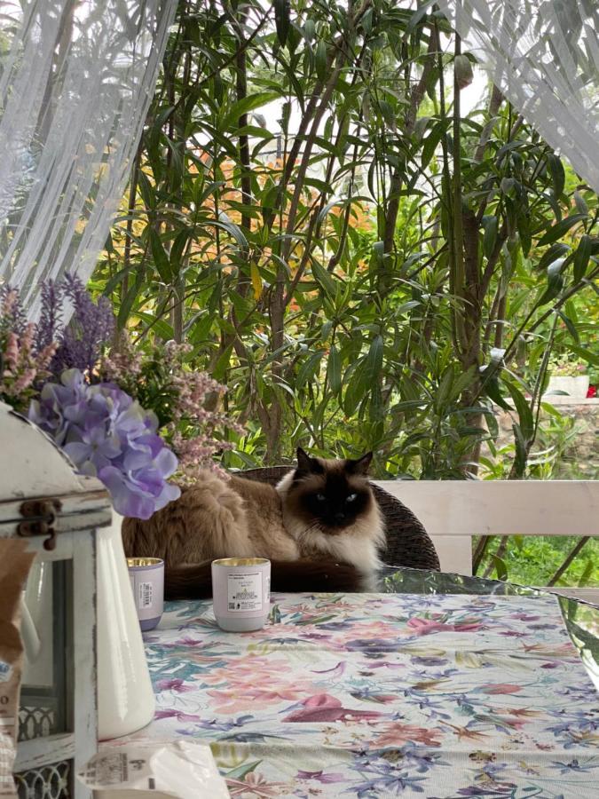 B&B La Terrazza Pozzolengo Zewnętrze zdjęcie