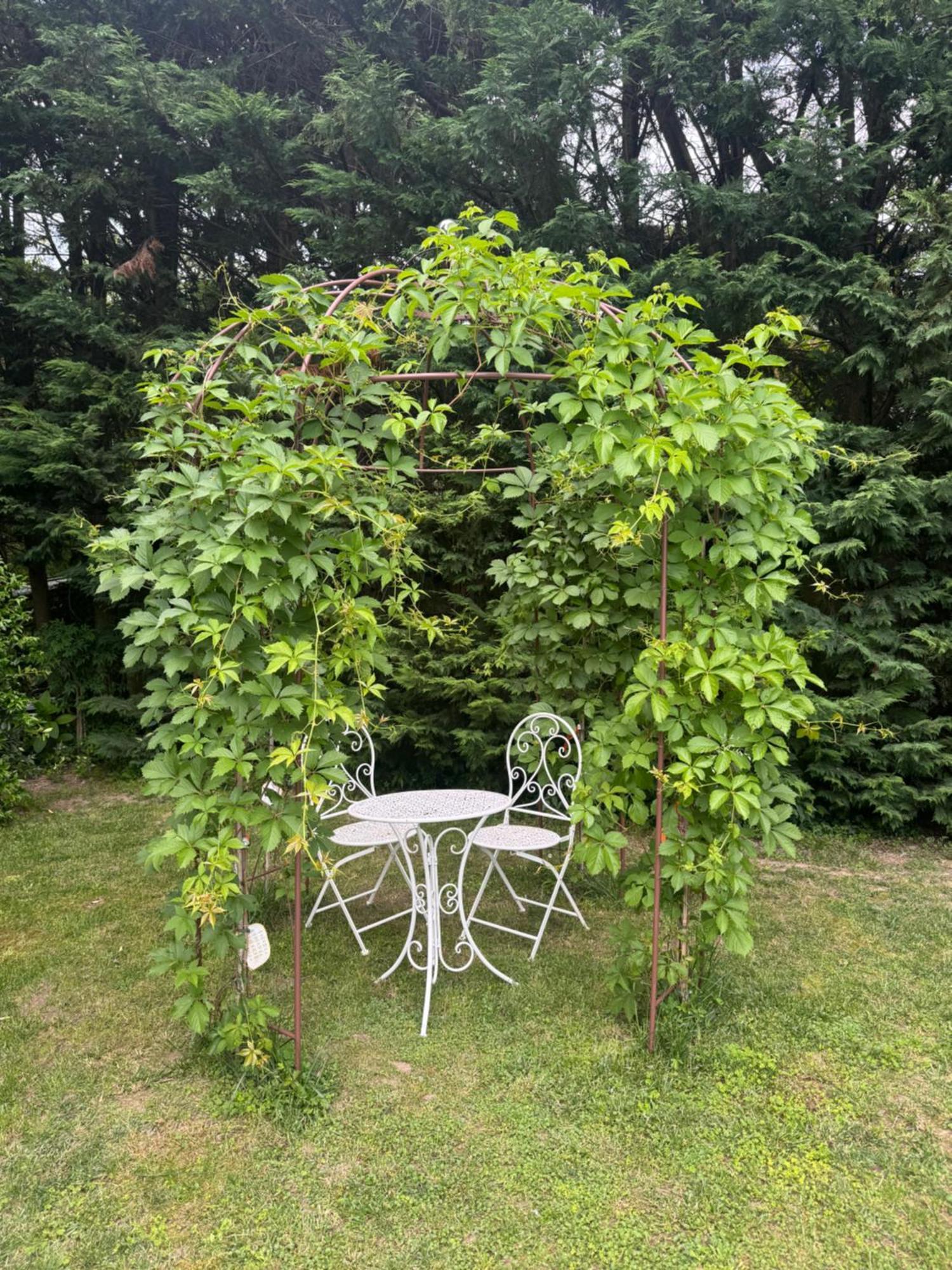 B&B La Terrazza Pozzolengo Zewnętrze zdjęcie